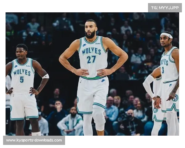 戈贝尔防守影响力评估：森林狼体系中的护框与换防表现